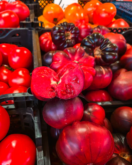A halved crimson heirloom tomato resting on a heap of dark and bright tomatoes.